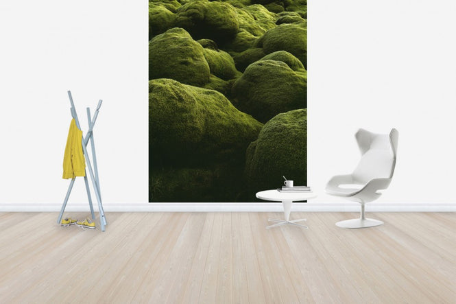 PHOTOWALL / Stones of Iceland (e40823)