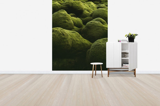 PHOTOWALL / Stones of Iceland (e40823)