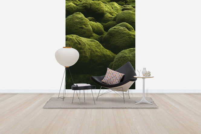 PHOTOWALL / Stones of Iceland (e40823)