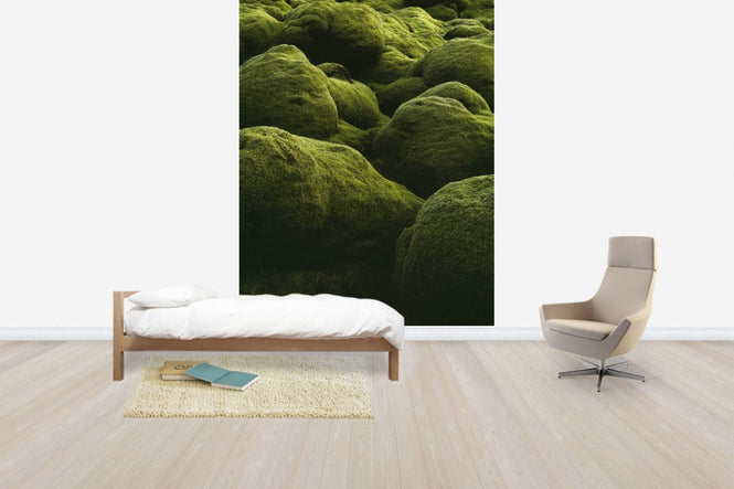 PHOTOWALL / Stones of Iceland (e40823)