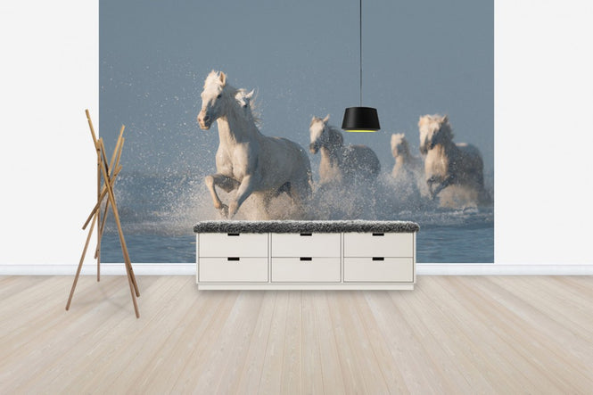 PHOTOWALL / Angels of Camargue (e30602)