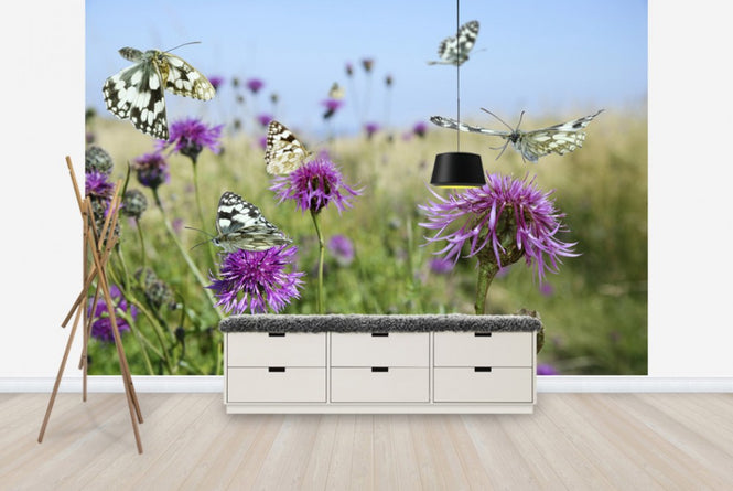 PHOTOWALL / Marbled White Butterflies (e40850)