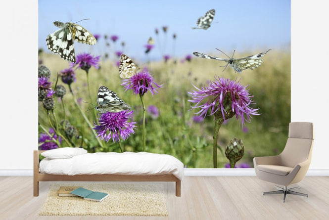 PHOTOWALL / Marbled White Butterflies (e40850)