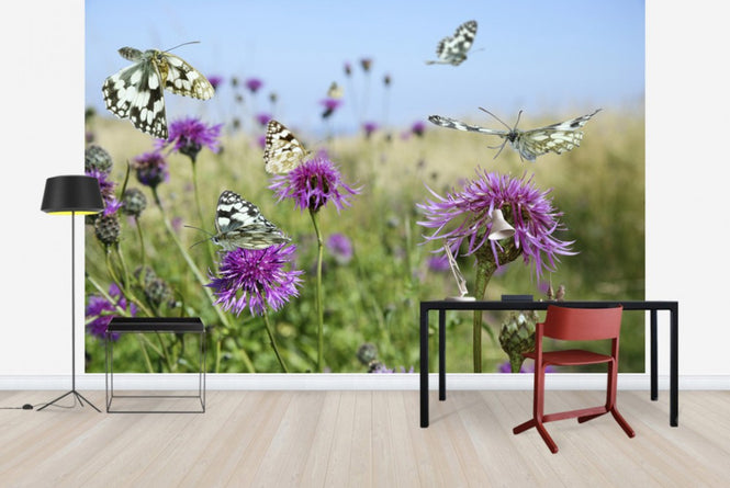 PHOTOWALL / Marbled White Butterflies (e40850)