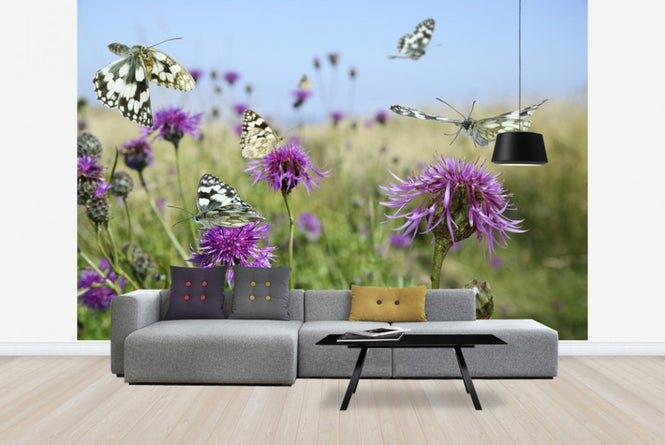 PHOTOWALL / Marbled White Butterflies (e40850)