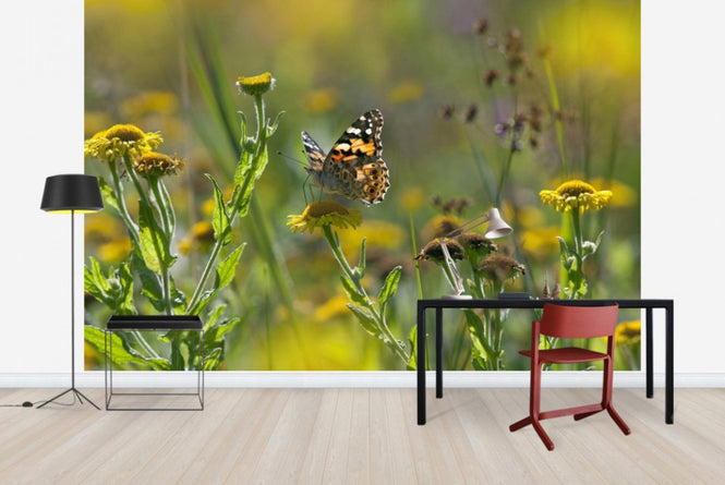 PHOTOWALL / Painted Lady Butterfly (e40851)