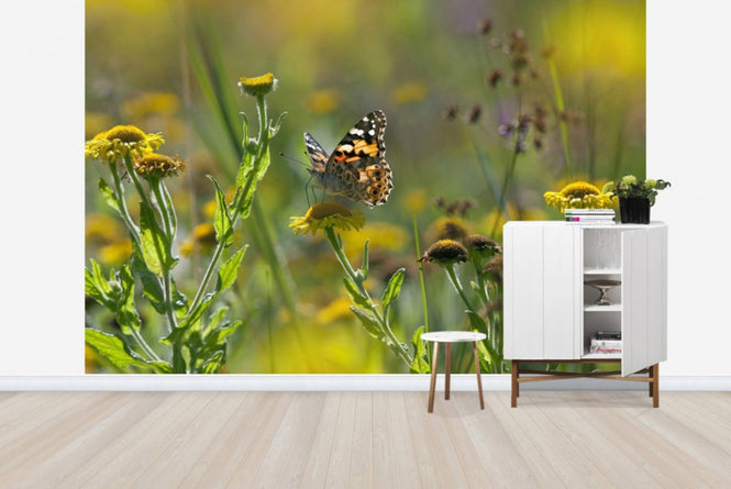 PHOTOWALL / Painted Lady Butterfly (e40851)
