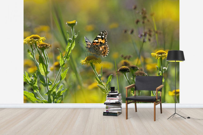 PHOTOWALL / Painted Lady Butterfly (e40851)