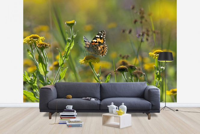 PHOTOWALL / Painted Lady Butterfly (e40851)