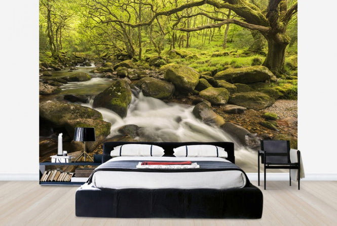 PHOTOWALL / River Plym in Dewerstone Wood (e40854)