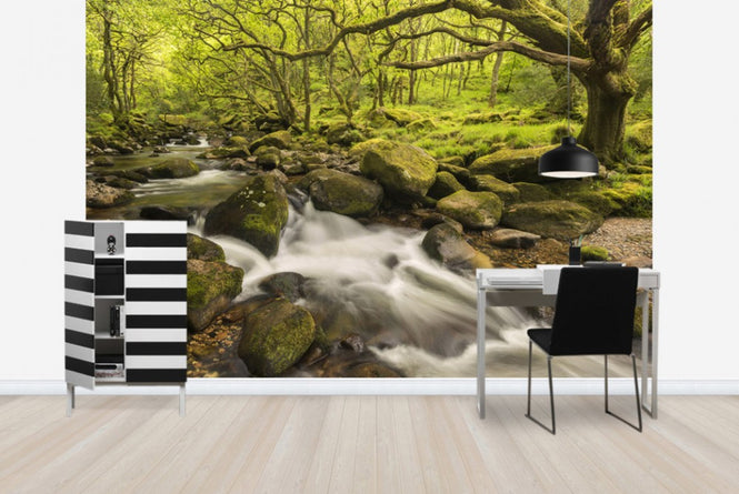 PHOTOWALL / River Plym in Dewerstone Wood (e40854)