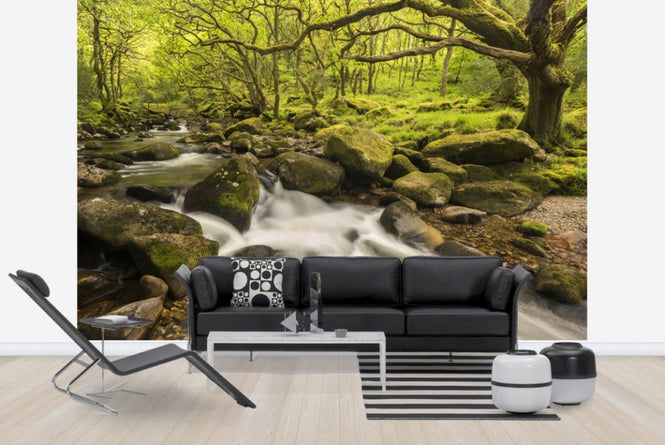 PHOTOWALL / River Plym in Dewerstone Wood (e40854)