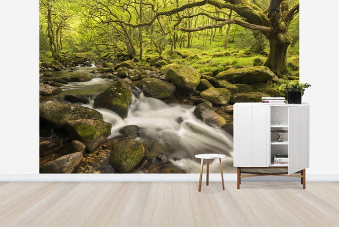 PHOTOWALL / River Plym in Dewerstone Wood (e40854)