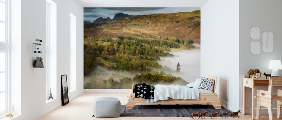 PHOTOWALL / View from Loughrigg (e40857)