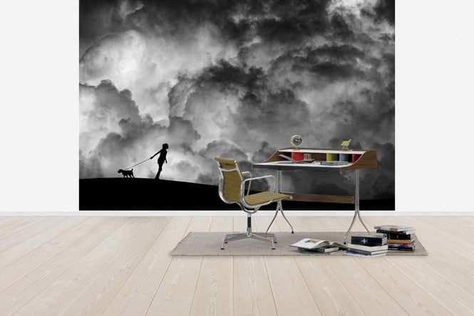 PHOTOWALL / Prelude to the Dream (e40914)