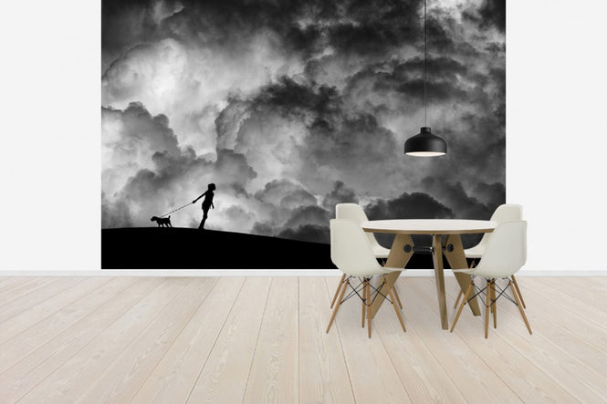 PHOTOWALL / Prelude to the Dream (e40914)