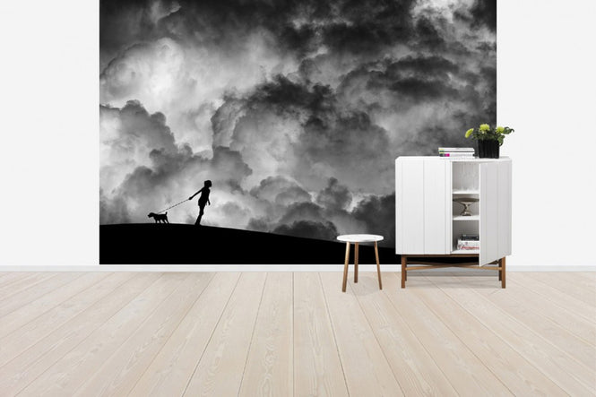 PHOTOWALL / Prelude to the Dream (e40914)