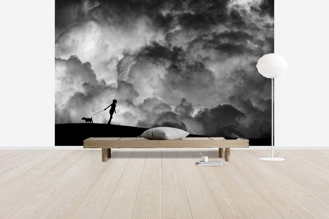 PHOTOWALL / Prelude to the Dream (e40914)