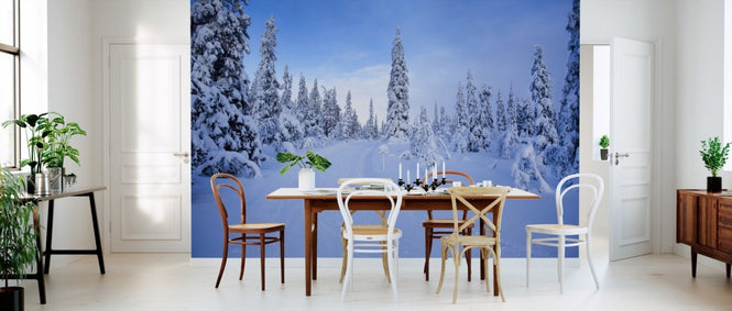PHOTOWALL / Ski track in Dalarna, Sweden (e40987)