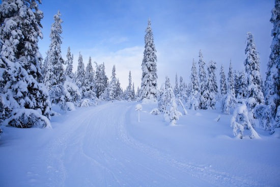 PHOTOWALL / Ski track in Dalarna, Sweden (e40987)
