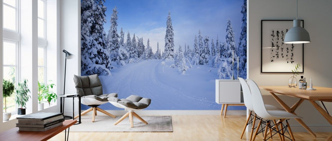 PHOTOWALL / Ski track in Dalarna, Sweden (e40987)