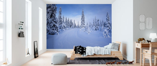 PHOTOWALL / Ski track in Dalarna, Sweden (e40987)
