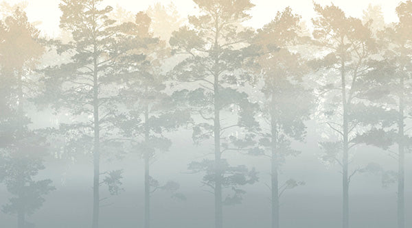 PHOTOWALL / Misty Pine Forest (e30626)