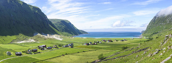 PHOTOWALL / Buildings Among Green fields, Norway (e30682)