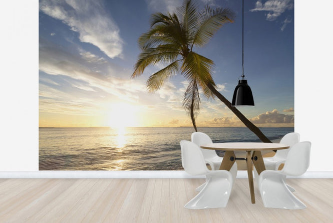 PHOTOWALL / Tropical Sunset (e41042)