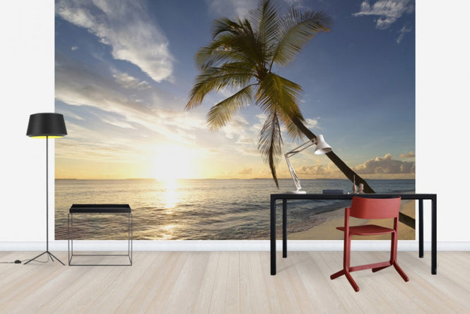 PHOTOWALL / Tropical Sunset (e41042)