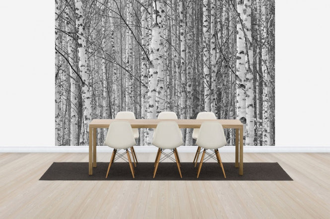 PHOTOWALL / Gotland Birch Forest (e30764)