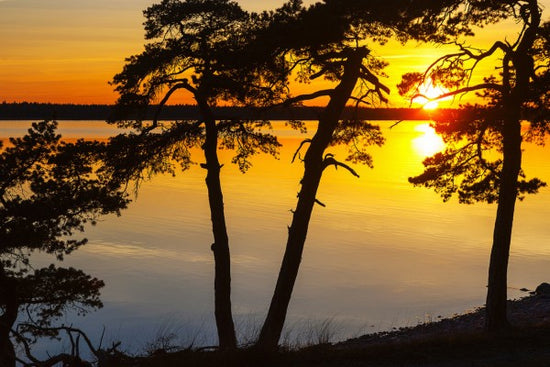 PHOTOWALL / Sunset the Baltic Gotland (e30784)