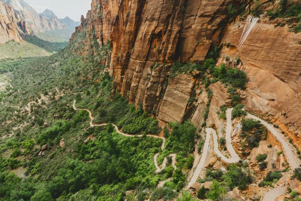 PHOTOWALL / Pathway in Zion National Park, USA (e30838)