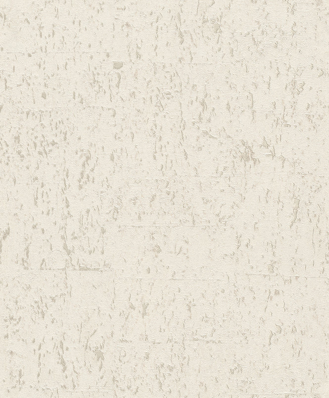 rasch ラッシュ / 538311 (Curiosity)