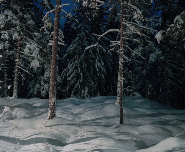 PHOTOWALL / Winter Lighting in Nacka, Sweden (e30804)