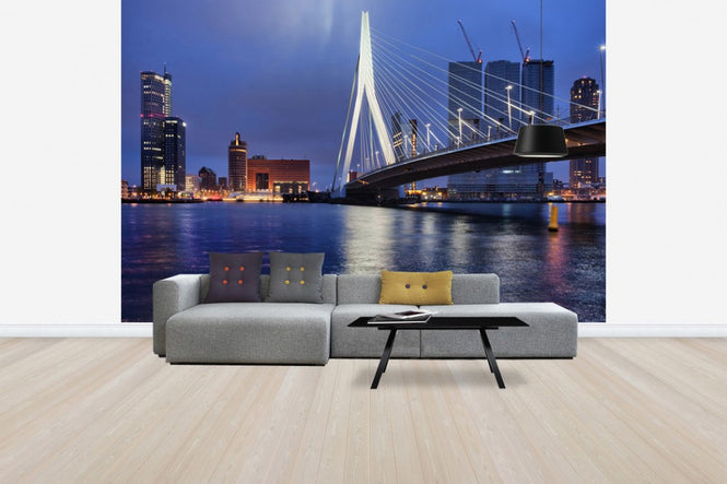 PHOTOWALL / City of Rotterdam at Night (e30922)