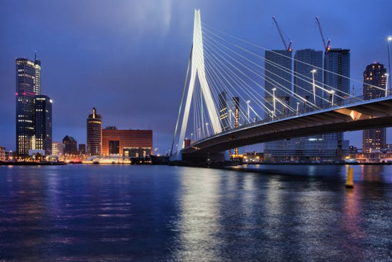 PHOTOWALL / City of Rotterdam at Night (e30922)