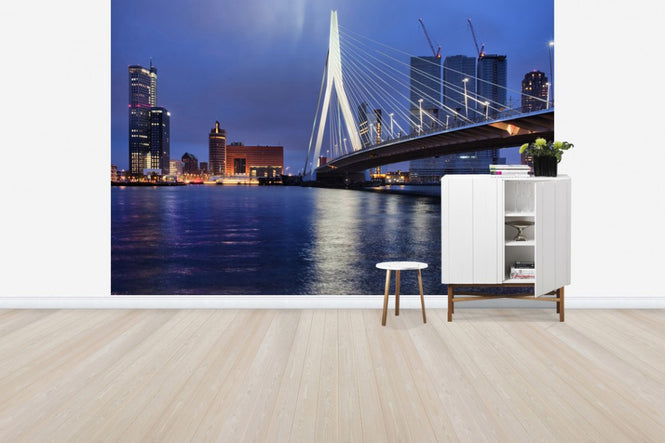 PHOTOWALL / City of Rotterdam at Night (e30922)