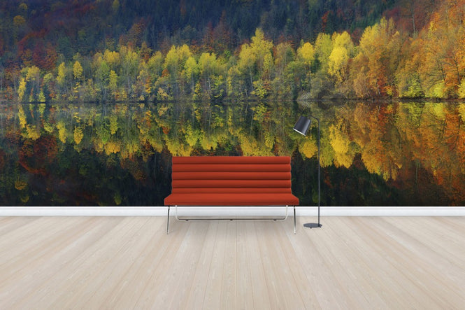 PHOTOWALL / Autumnal Silence (e30961)