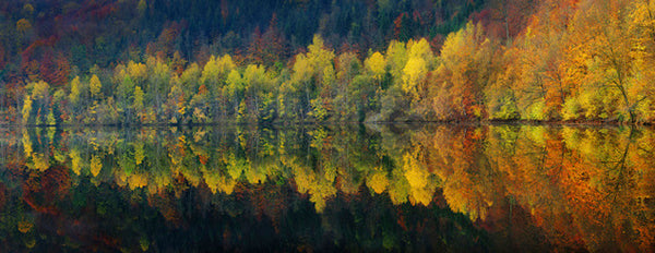 PHOTOWALL / Autumnal Silence (e30961)