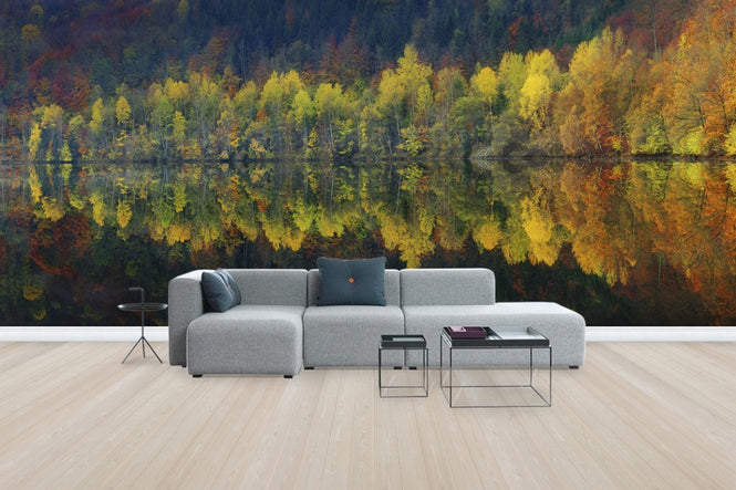 PHOTOWALL / Autumnal Silence (e30961)