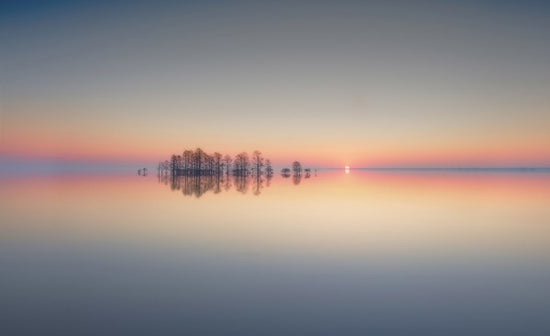 PHOTOWALL / Dawn at Lake Mattamuskeet (e30963)