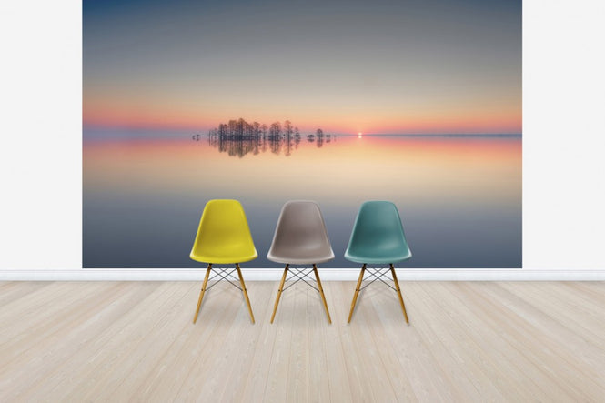 PHOTOWALL / Dawn at Lake Mattamuskeet (e30963)