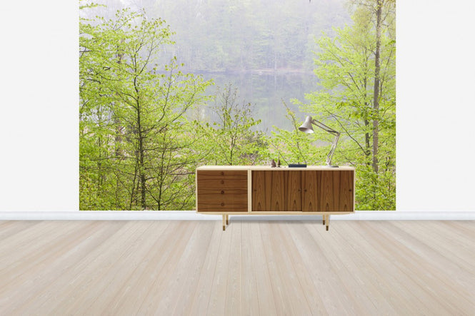 PHOTOWALL / Akulla Beech Forest (e41134)