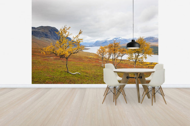 PHOTOWALL / Beautiful Autumn in Saltoloukta (e41138)
