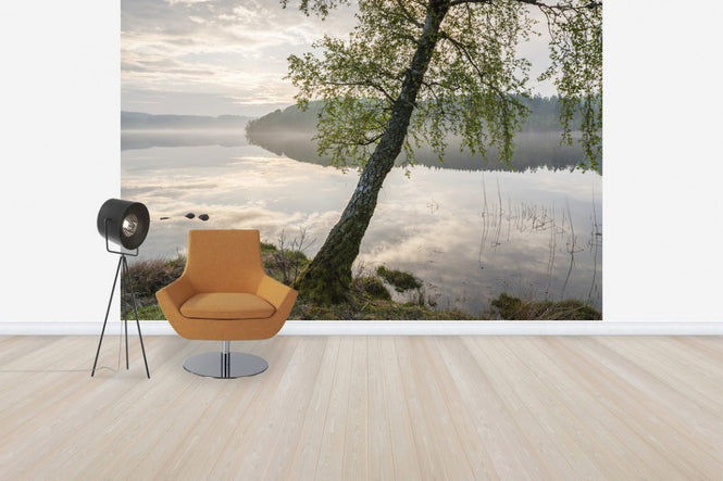 PHOTOWALL / Beautiful Swedish Lake (e41139)