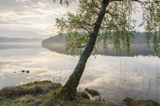 PHOTOWALL / Beautiful Swedish Lake (e41139)