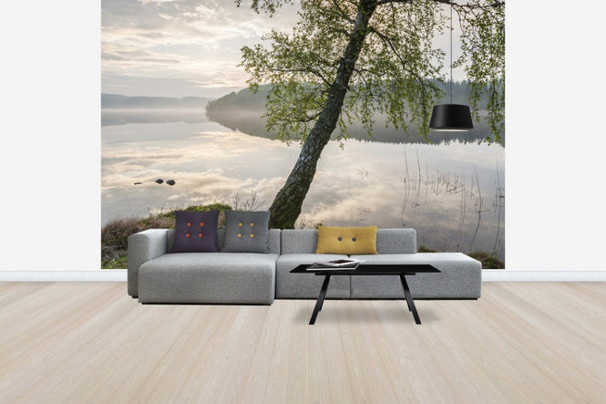 PHOTOWALL / Beautiful Swedish Lake (e41139)