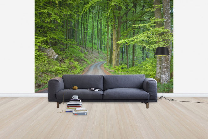 PHOTOWALL / Beech Forest Road (e41141)