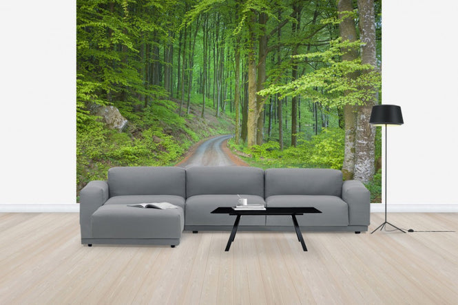 PHOTOWALL / Beech Forest Road (e41141)